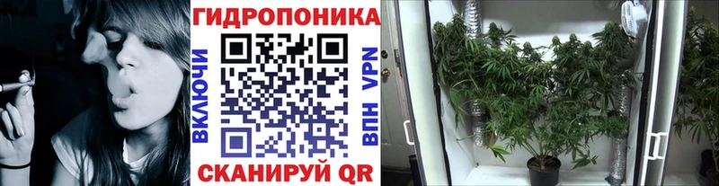 Какие есть наркотики Заволжье ТГК  APVP  Гашиш  Бошки Шишки  Метадон 
