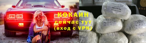 СК Каменка