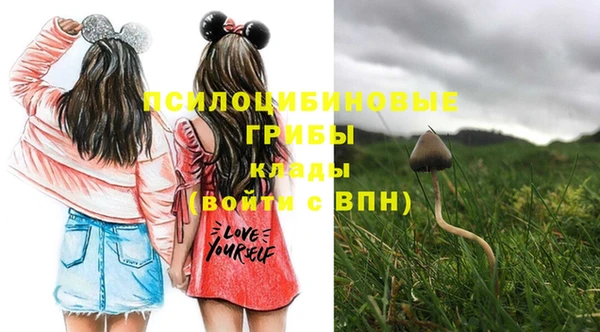 mdpv Иннополис