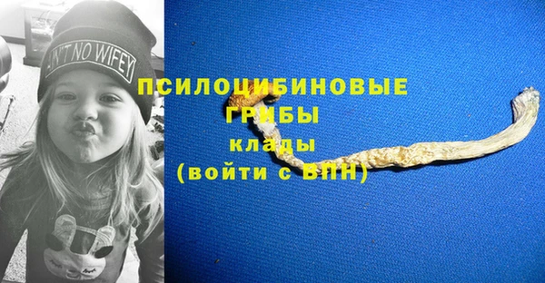 СК Каменка