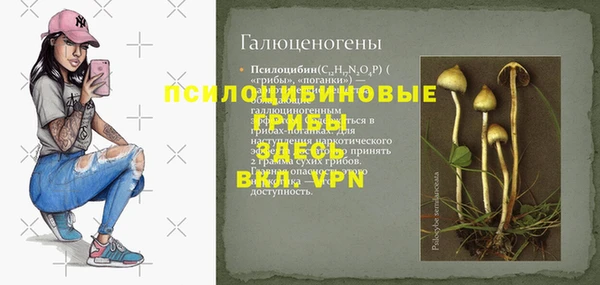 mdpv Иннополис