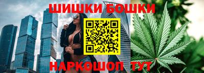 гашик Волжский