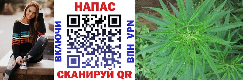 Каннабис SATIVA & INDICA  Заволжье 
